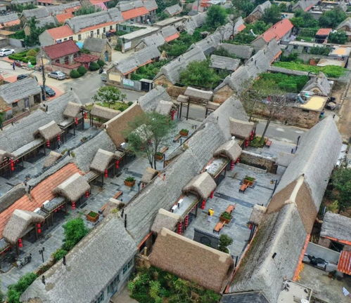 榮成兩地入選省紅色文化特色村培育創建名單，賡續紅色血脈賦能鄉村振興